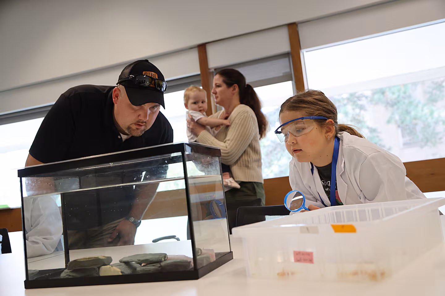 Featured image for Six-Year-Old Raises $1,000 for Harvard Axolotl Lab