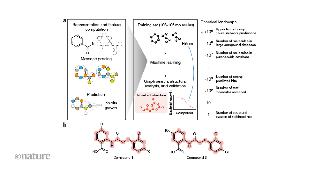 AI Unveils Groundbreaking Class of Antibiotics
