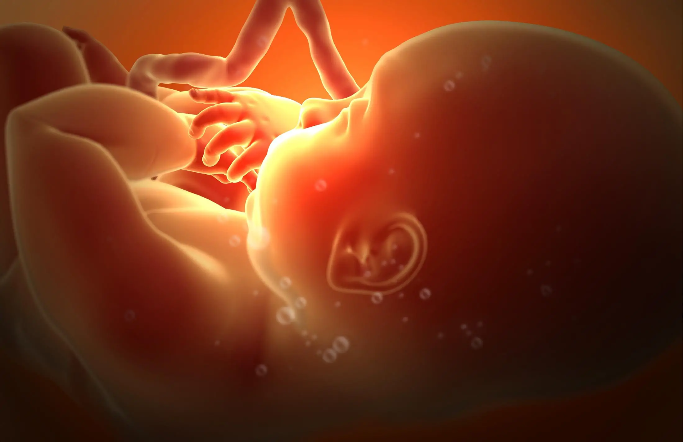 Featured image for Unprecedented Brain Surgery Performed on Unborn Baby in the Womb