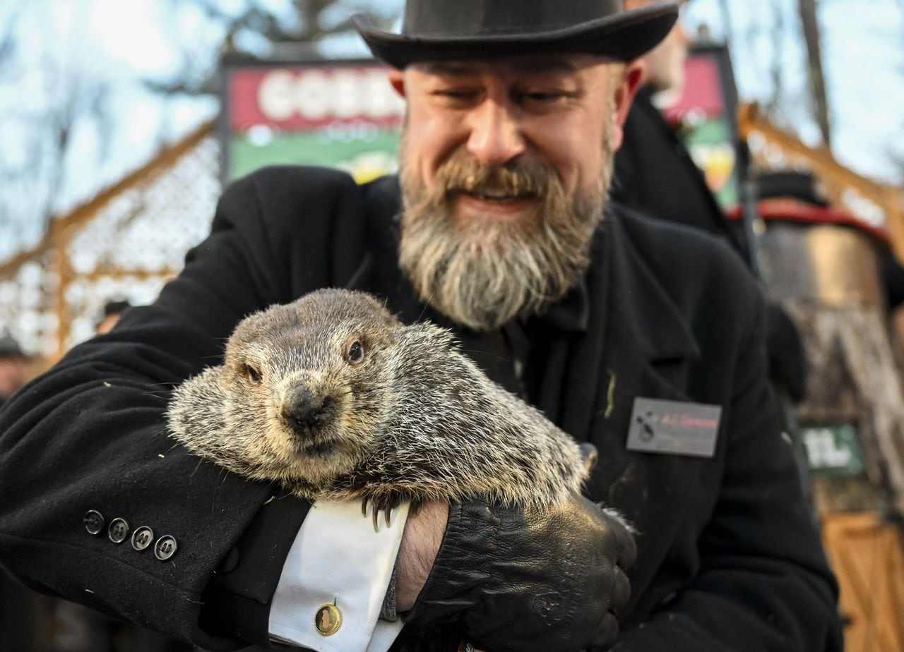 Featured image for "Groundhog Day 2024: Punxsutawney Phil's Weather Prediction and Early Spring Forecast"