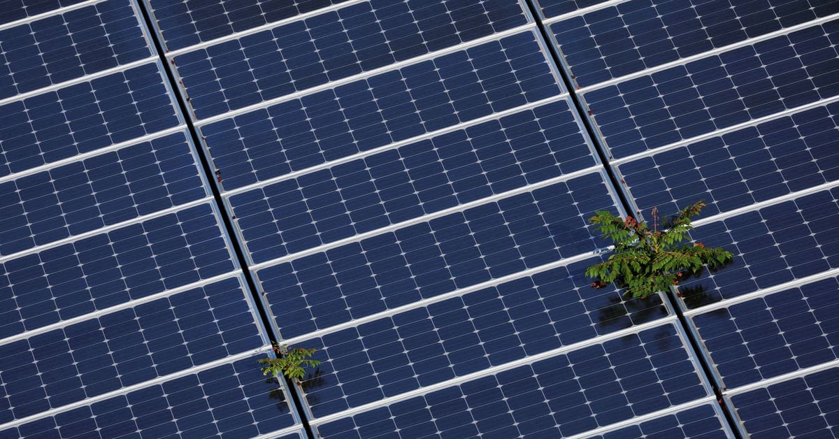 Featured image for "US Power Regulator Approves Reforms to Accelerate Grid Connections for Clean Energy"