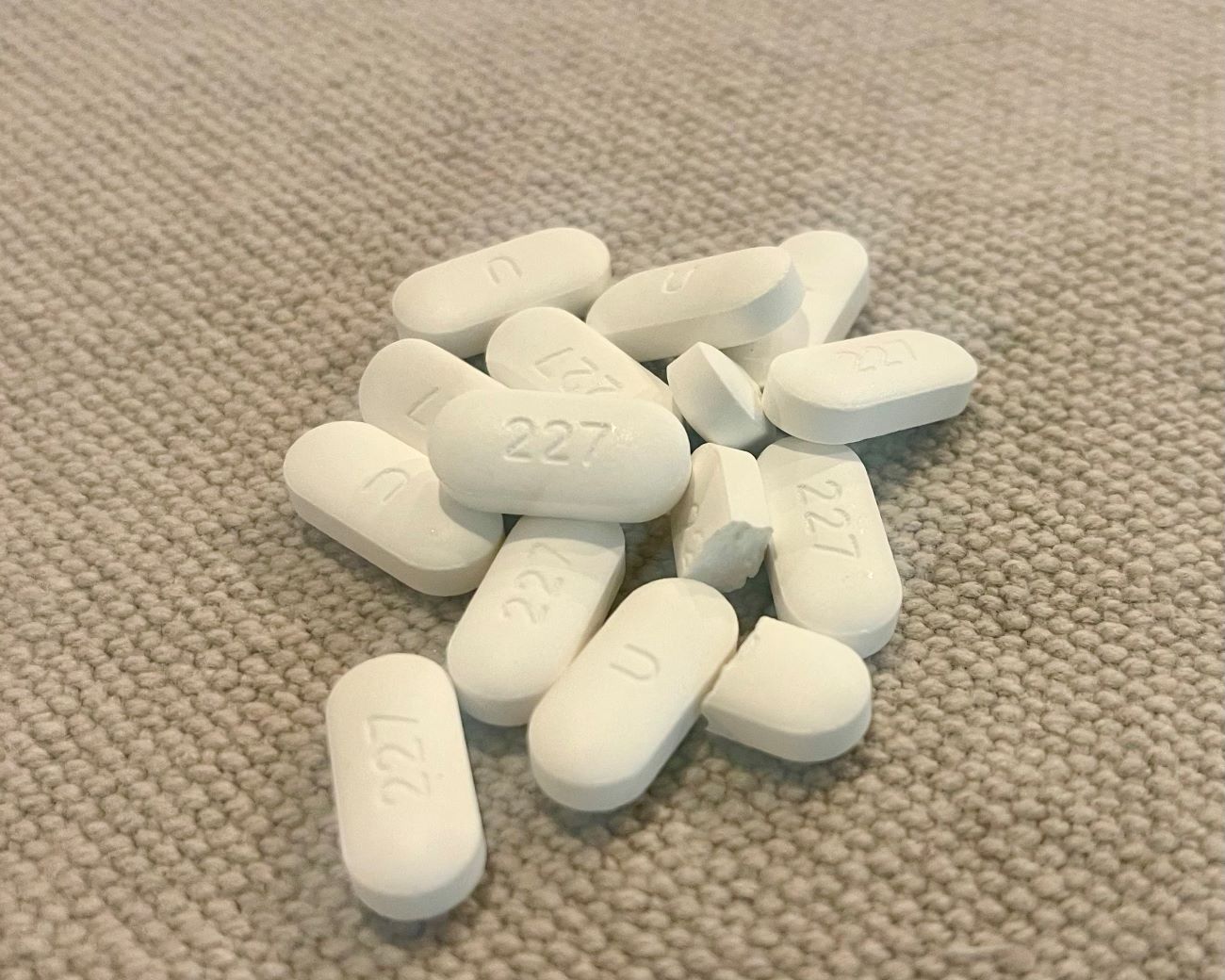 Rethinking Antibiotics for Dog Diarrhea Treatment