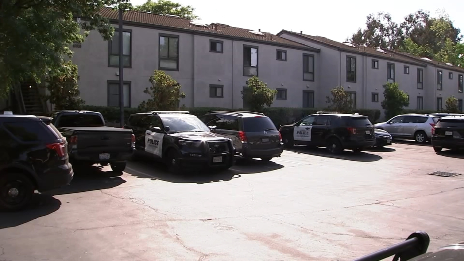 Tragic Murder-Suicide Claims Lives of Mother and Two Children in Fremont