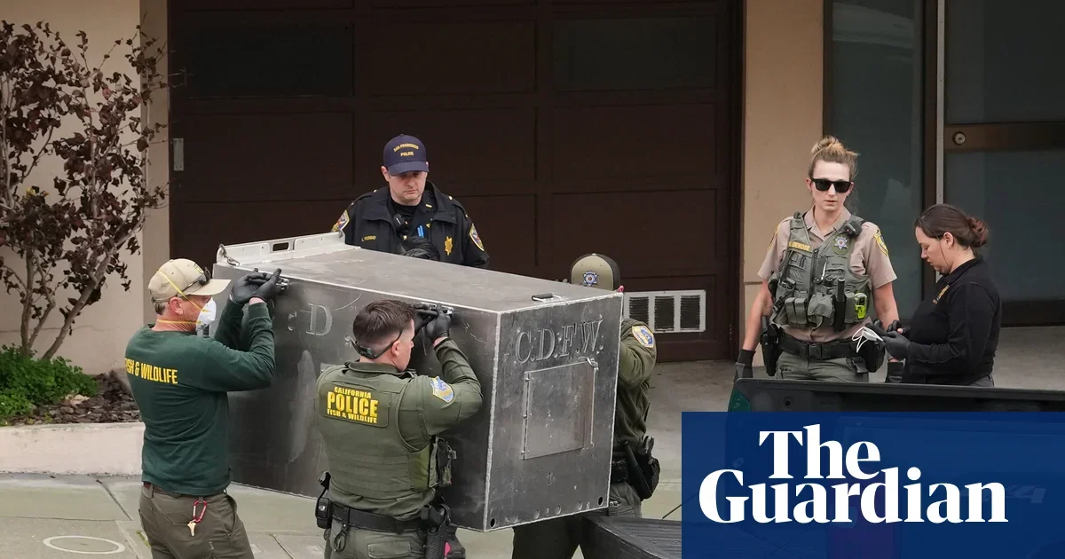 San Francisco Mountain Lion Roams City Streets, Then Captured and Released