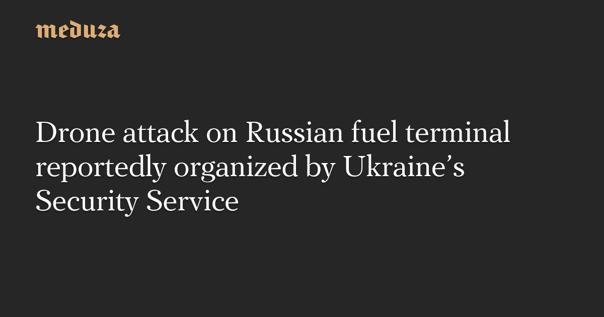 "Ukraine's Security Service Suspected in Drone Attack on Russian Gas Terminal"