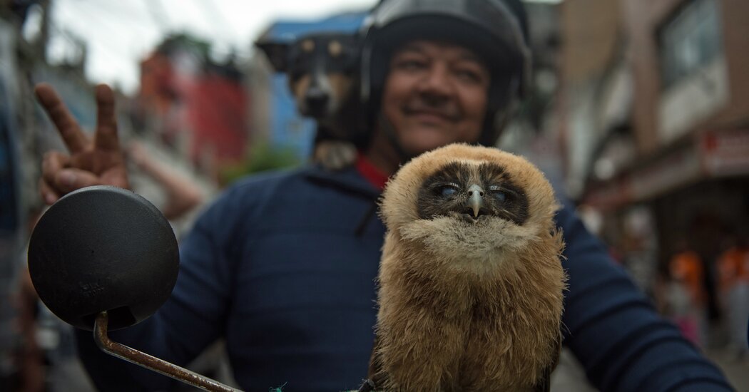 Featured image for Navigating Unexpected Roadblocks: Strategies for Handling Detours