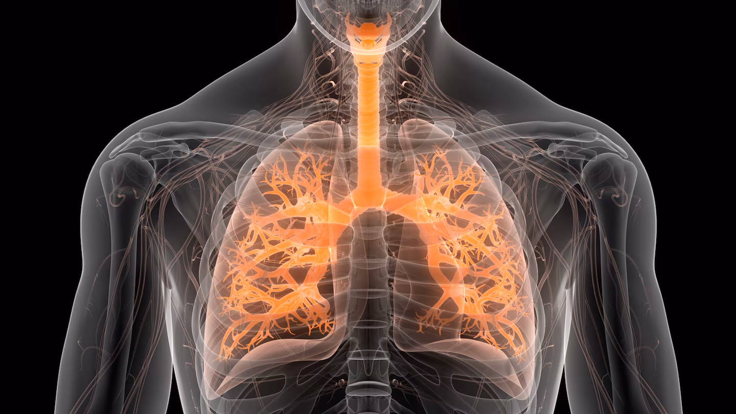 Featured image for COPD Patients Show Higher Lung Carbon Levels Than Smokers