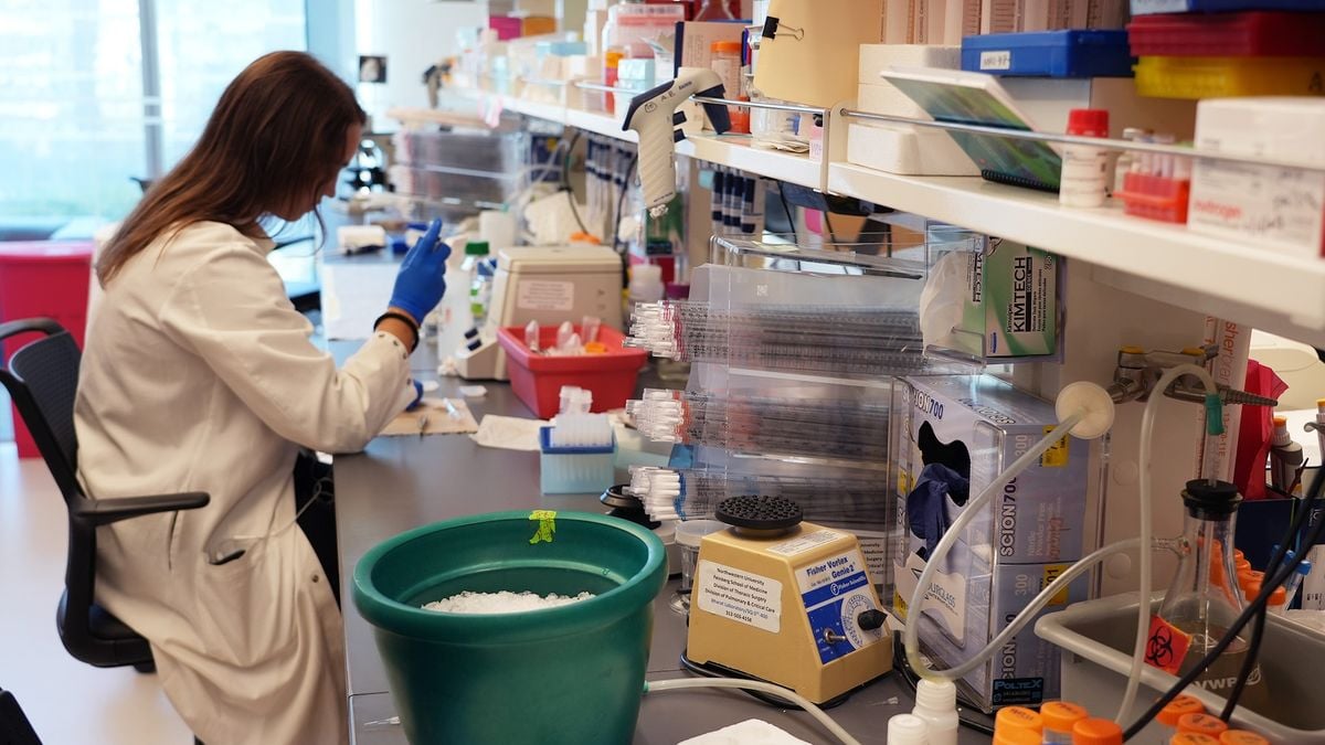 Featured image for Severe COVID-19 Linked to Tumor Reduction in Early Study