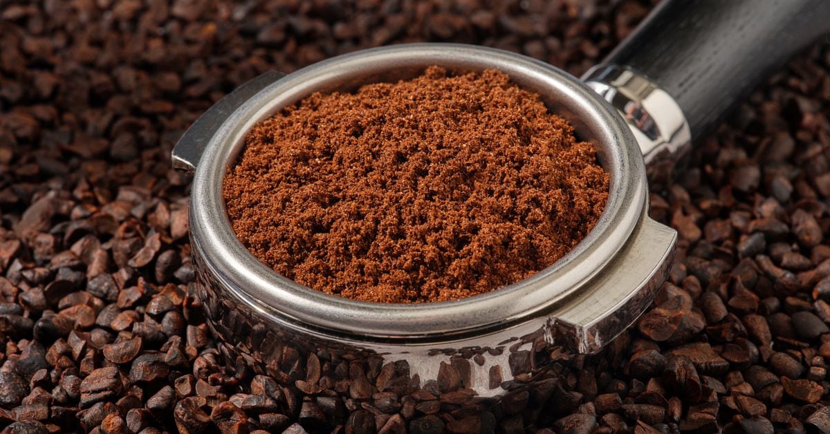 "Seattle Startup's 'Beanless Coffee' Fights Deforestation with Sustainable Solution"