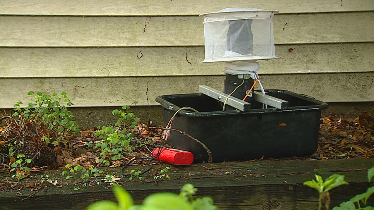 Featured image for "Jamestown Canyon Virus Detected in Mosquitoes Across Multiple Regions"