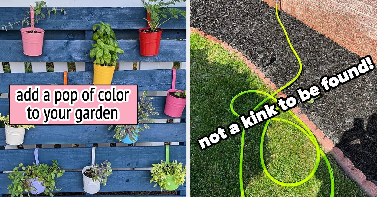 "Top Picks: 30+ Must-Have Products for Gardeners, Reviewers, Pet Owners, and Budget Shoppers"