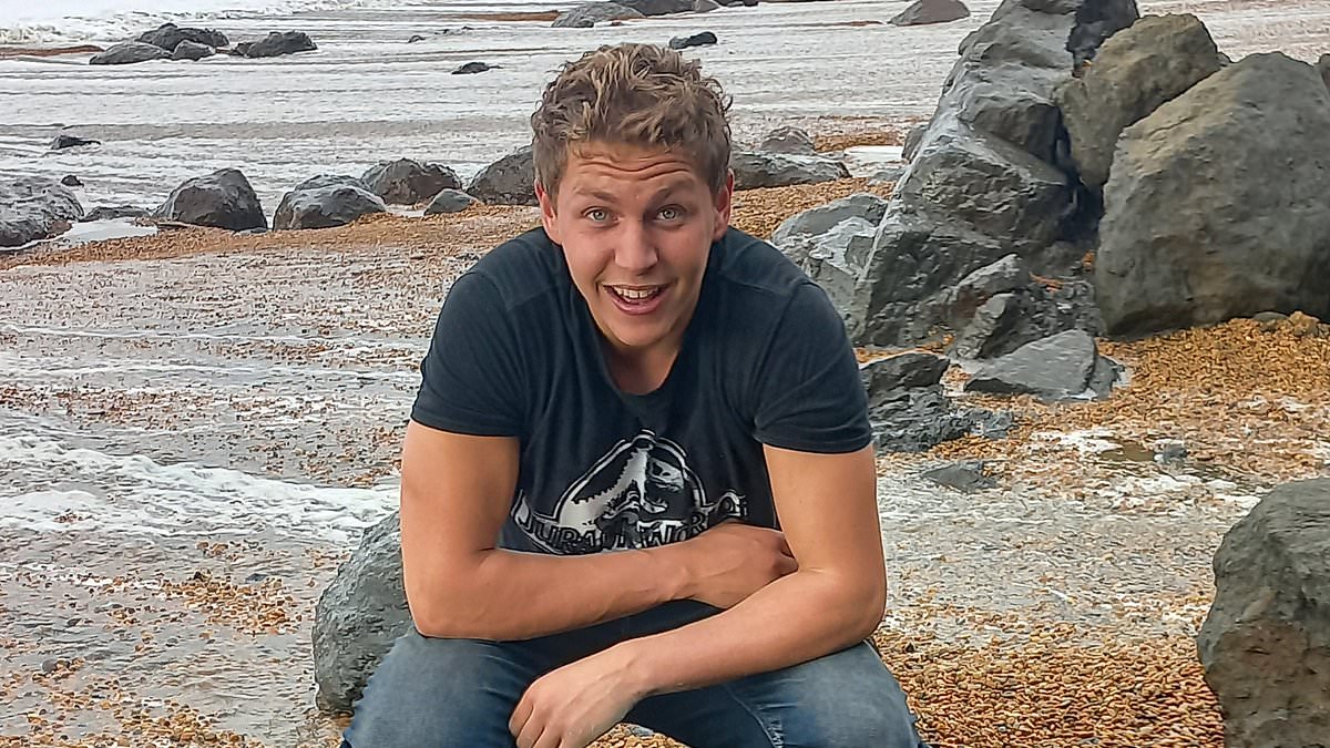 Featured image for Rare 115-million-year-old fossil found in fallen boulder