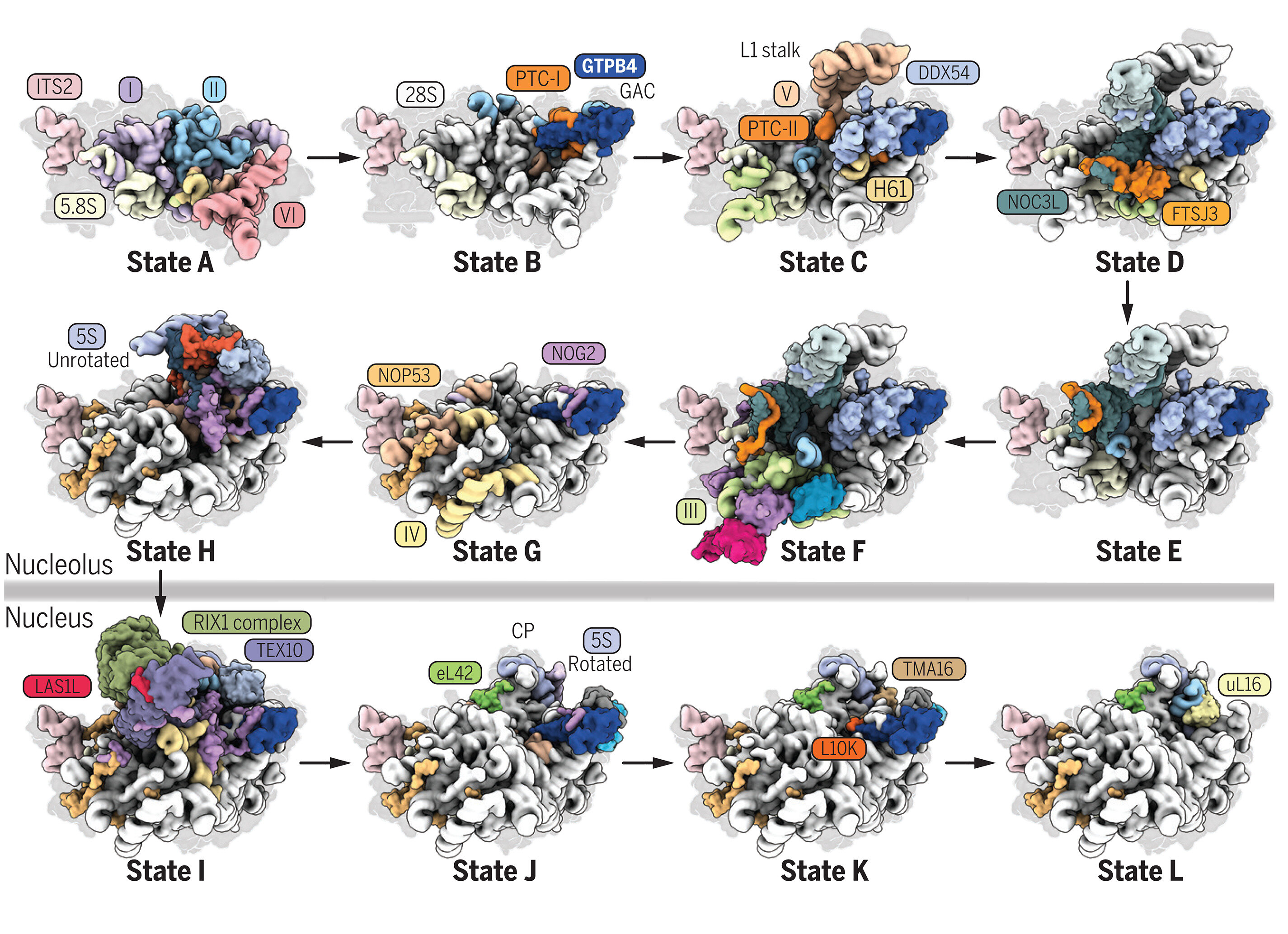 Featured image for Unveiling the Formation of Nature's Fundamental Molecule