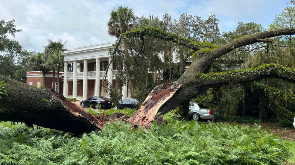 Featured image for "Devastating Hurricane Idalia Toppled Centuries-Old Oak onto DeSantis' Tallahassee Mansion"