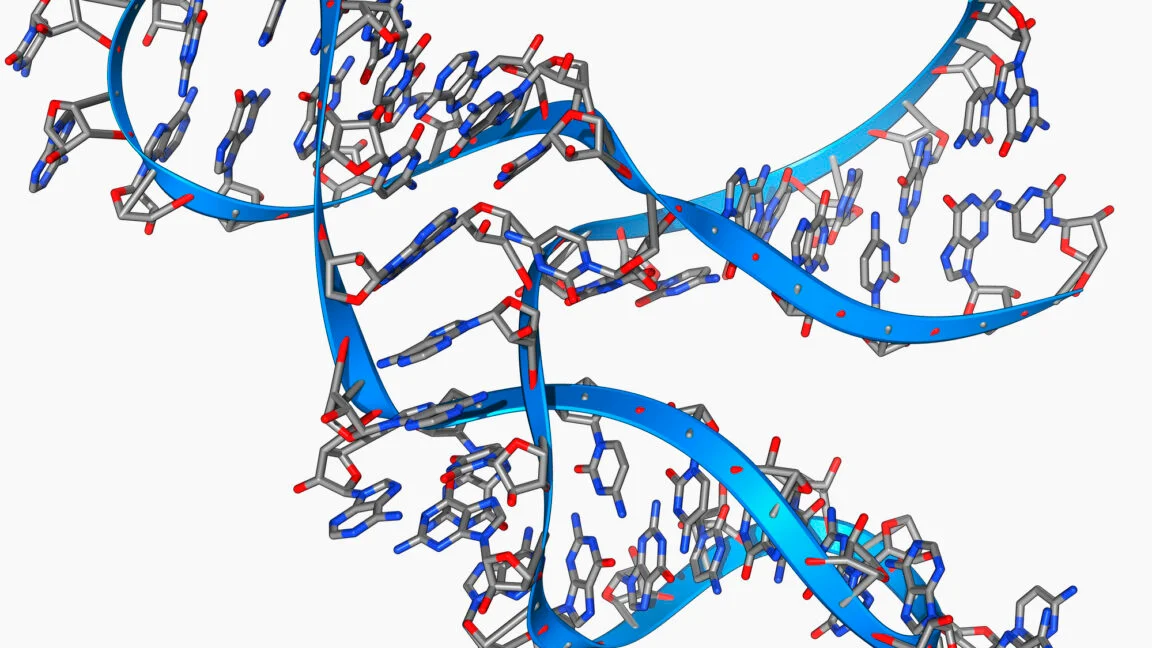 Tiny 45-base ribozyme copies itself, nudging origin-of-life theories