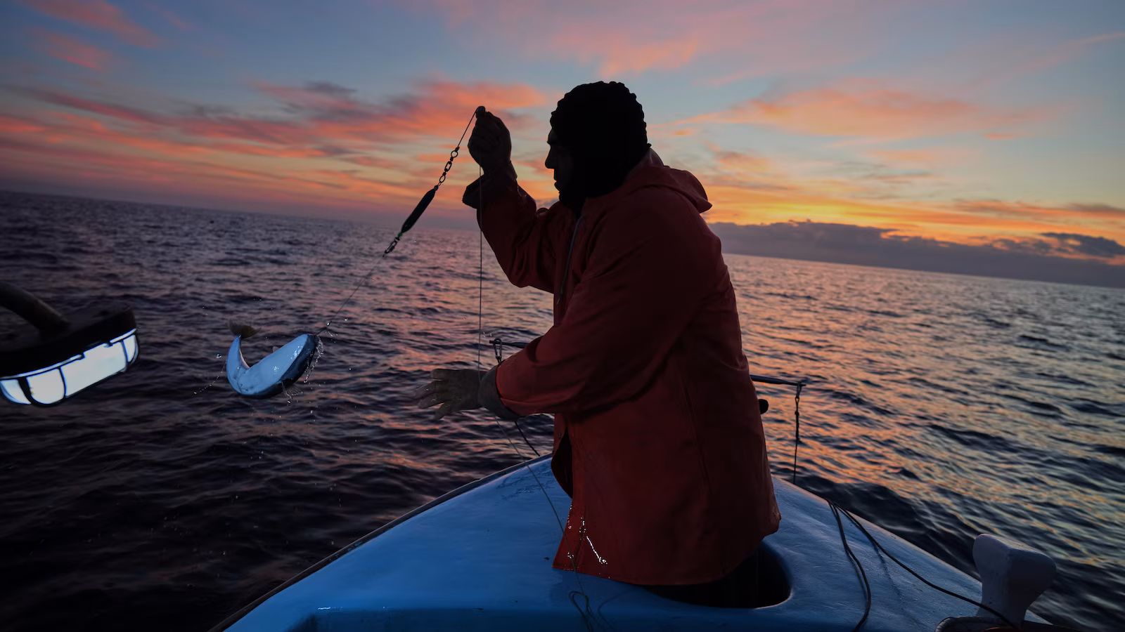 Featured image for Cypriot Fishermen Turn Invasive Lionfish into Local Delicacy