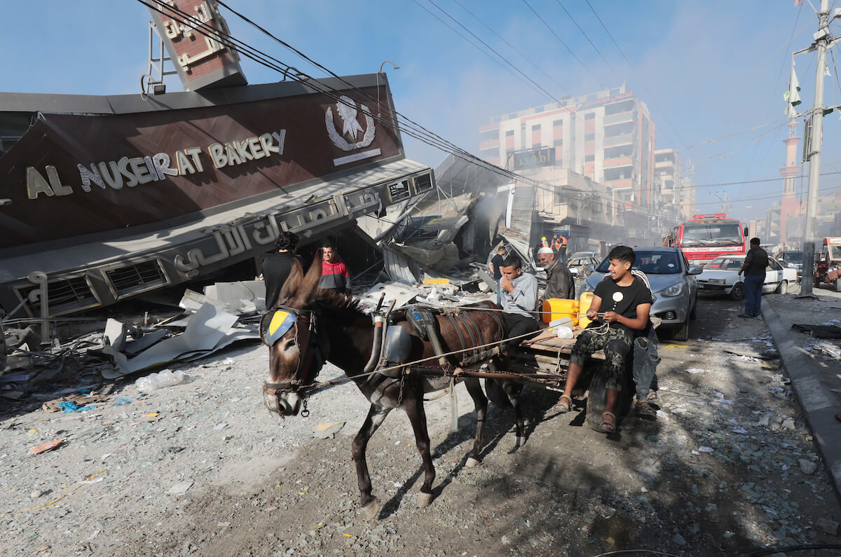 "Bombing of Humanitarian Aid and Bakery Leaves Gaza in Desperation"