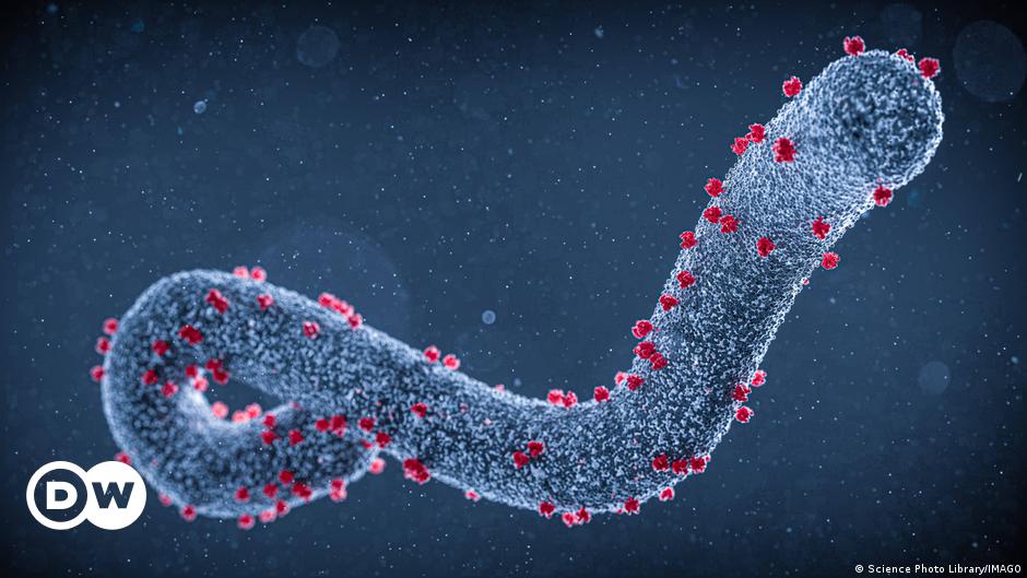 Deadly Marburg virus outbreak claims 5 lives in Tanzania