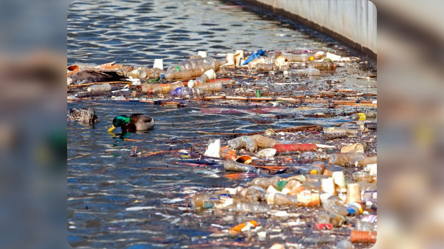 PepsiCo faces lawsuit by New York AG for plastic pollution in Buffalo River