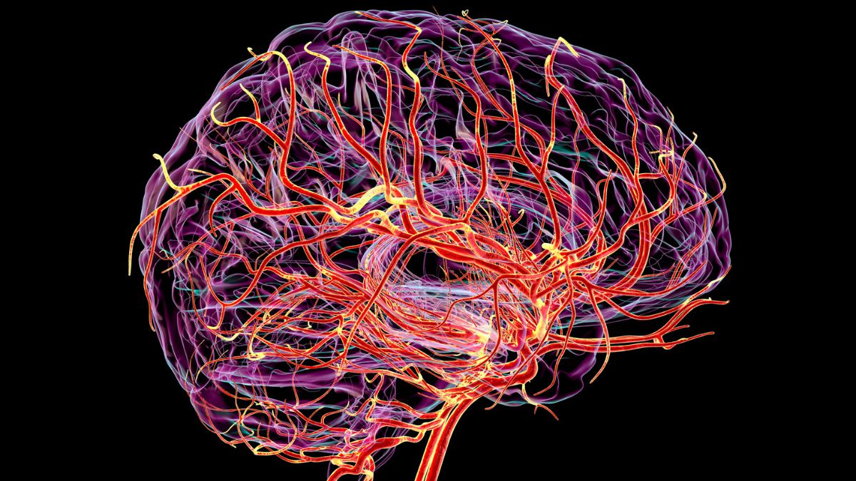 Featured image for Scientists Find Brain Signal That Could Predict Dementia