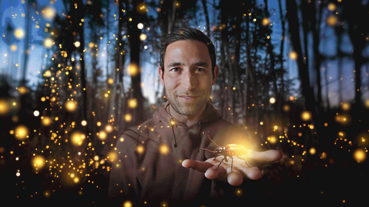 Featured image for Adobe's Generative AI Takes Flight and Boosts Business Opportunities.