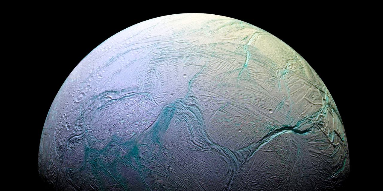 Enceladus: A Promising Candidate for Extraterrestrial Life