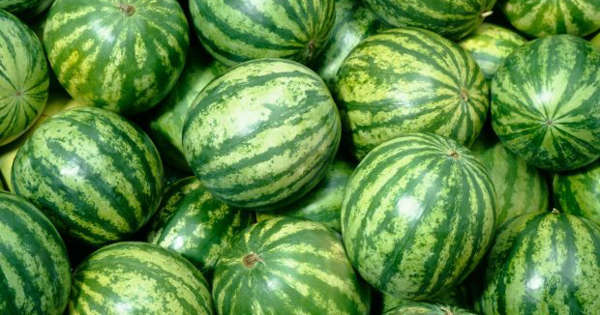 Featured image for "Mastering Watermelon: From Perfectly Ripe to Flawless Skin"