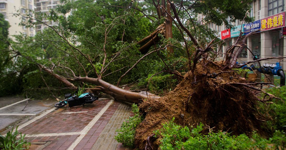 Featured image for China's July Disasters: Economic Losses and Human Impact