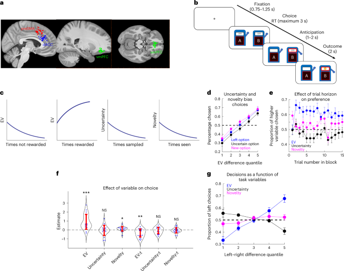 Neurons in the Brain Encode Value-Based Choices for Lunch