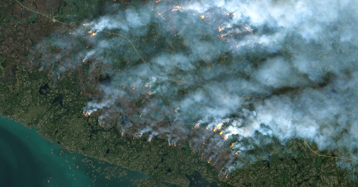 Featured image for Canada Urges Meta to Lift News Ban for Wildfire Information Sharing