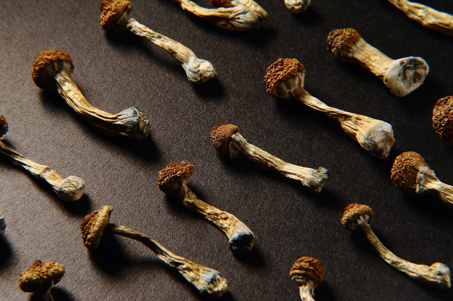 Unveiling the Effects of Psilocybin: Insights from an Alaska Air Pilot's Confession