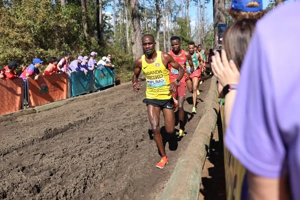 Featured image for Kenyan Dominance Continues at 2026 World Cross Country Championships