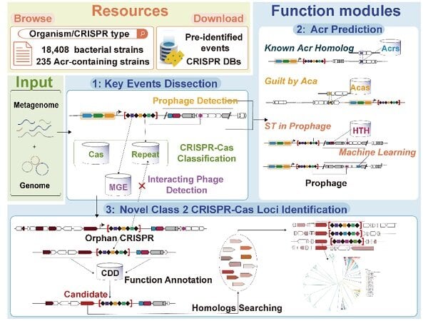 Featured image for CRISPR tool with big data visualization for genome editing.