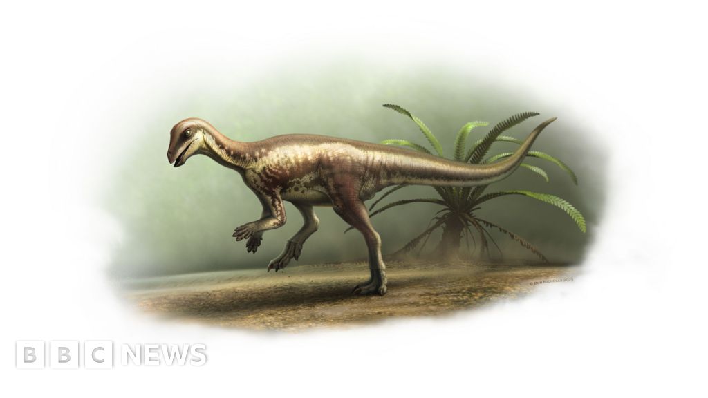 Featured image for Natural History Museum to Showcase Rare Dog-Sized Dinosaur