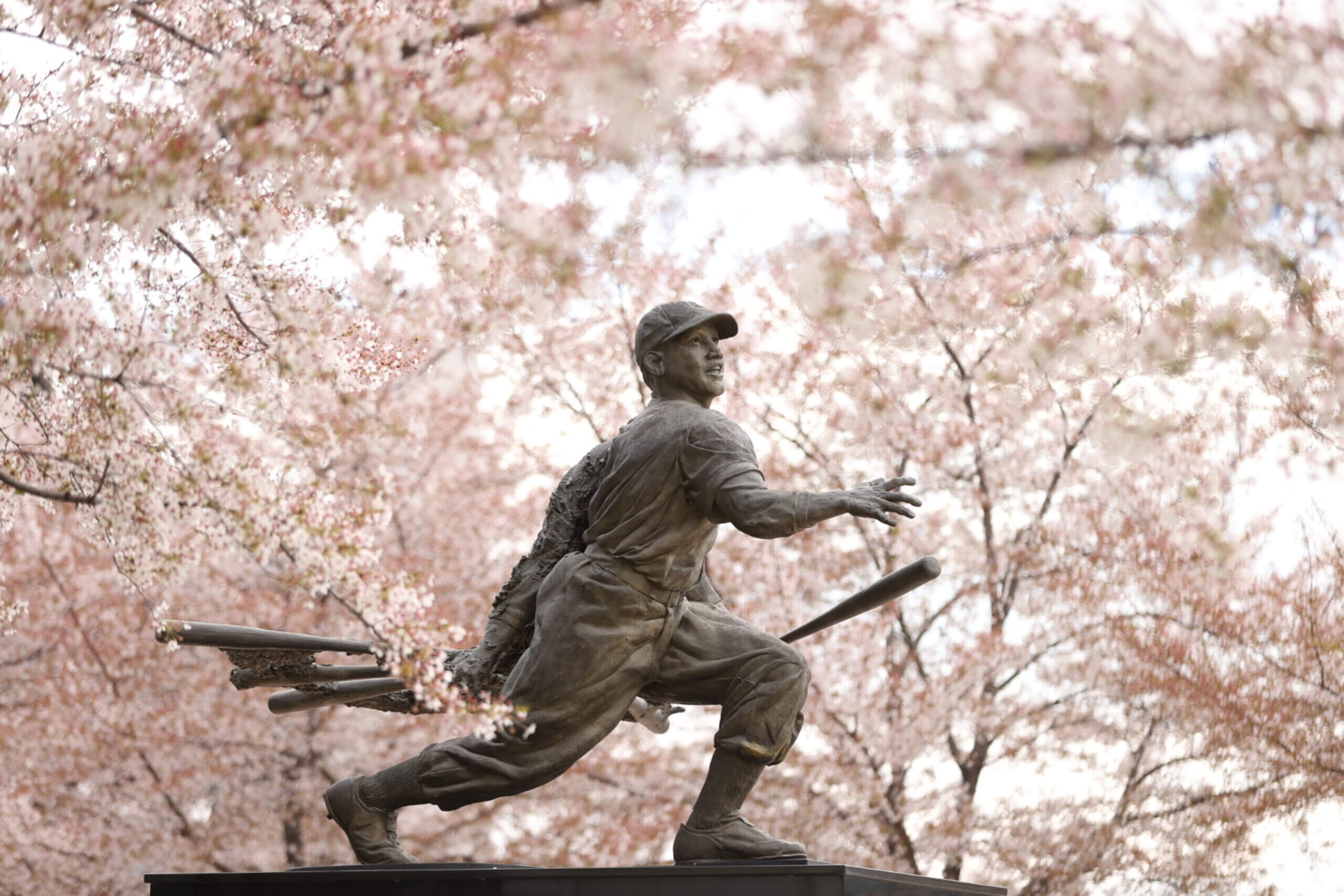 Featured image for MLB Integrates Negro Leagues Stats, Josh Gibson Named All-Time Batting Leader