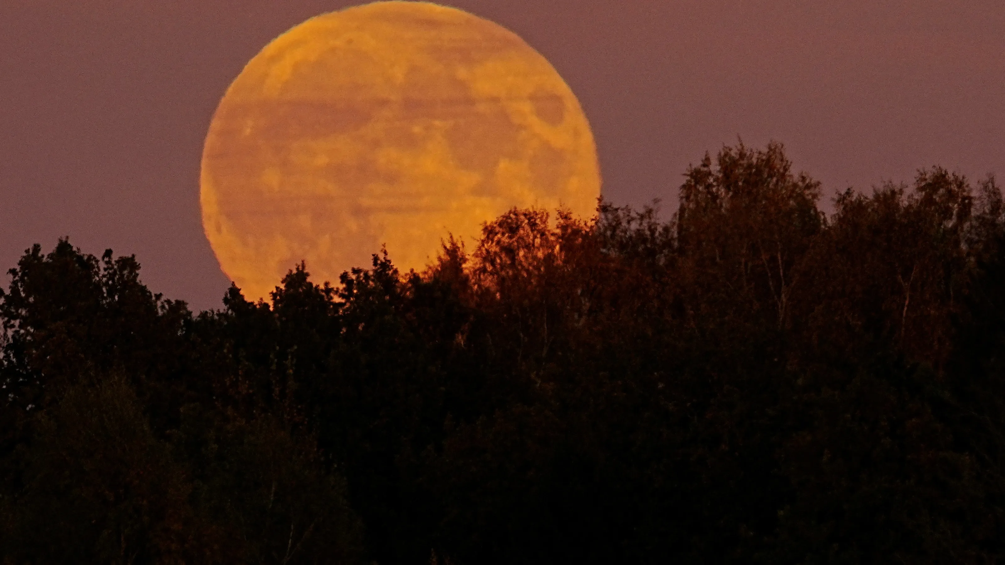 Catch the Last Supermoon of 2024 This November
