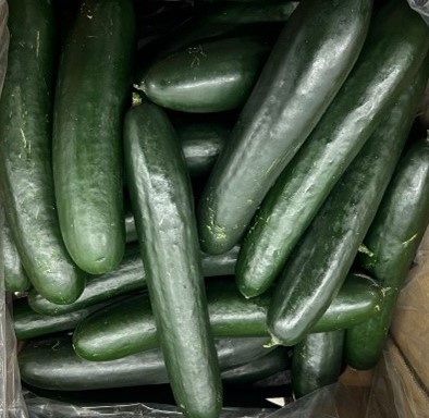 Featured image for Nationwide Cucumber Recall Due to Salmonella Outbreak