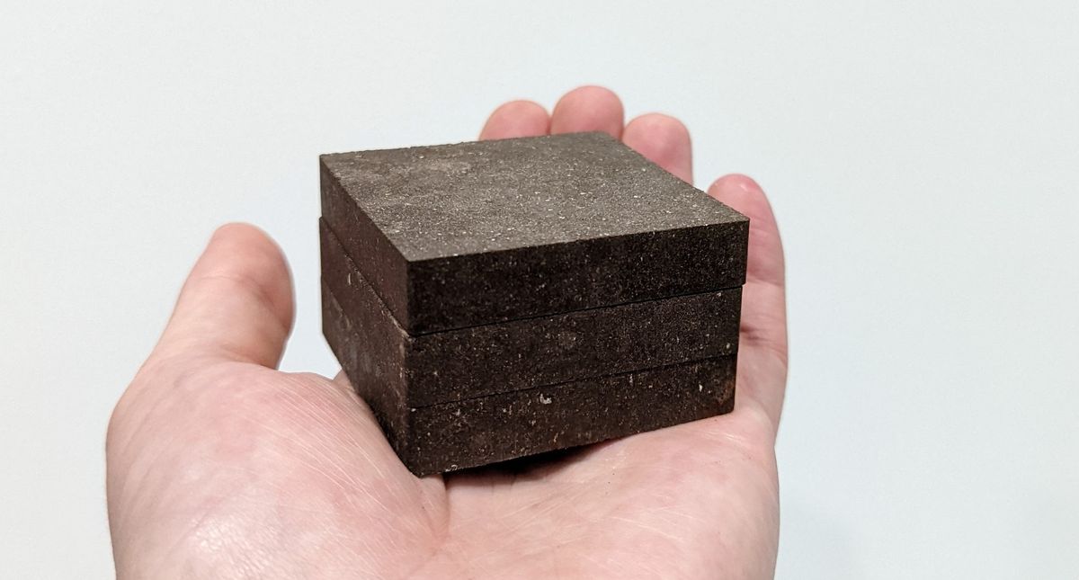 "Potatoes: The Key Ingredient for Building on Mars and the Moon"