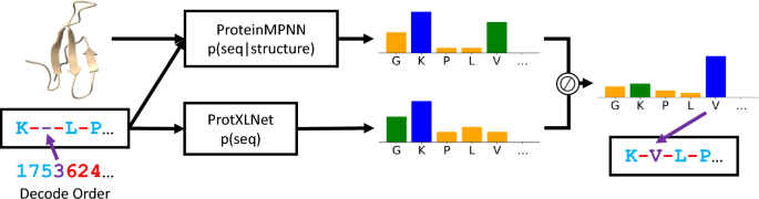 Featured image for Unveiling Protein Stability, Design, and Recognition Mechanisms: Insights from Probabilistic Views and AI