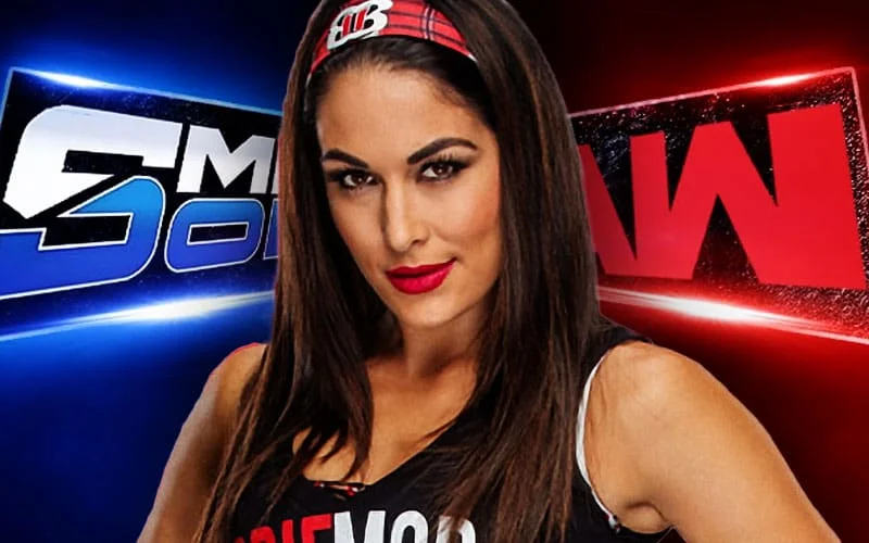 Brie Bella Moves to RAW as Bella Twins Tease WrestleMania Comeback