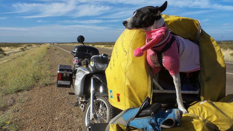Featured image for Motorbike world tour ends in tragedy for couple and their dog.