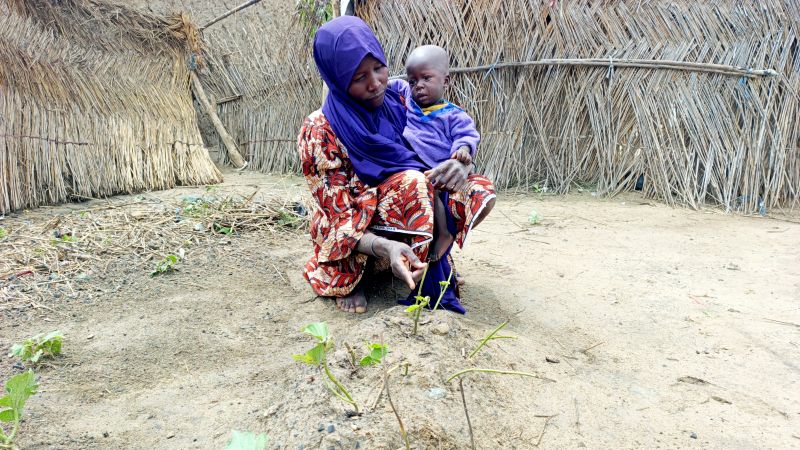 Featured image for Child's Death Highlights Impact of US-Funded Nutrition Program Cuts