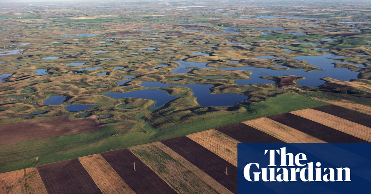 Featured image for "Supreme Court Ruling Weakens Wetland Protections, Biden Administration Responds"