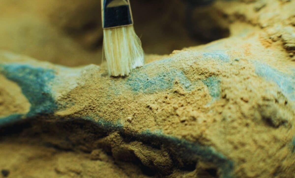 Featured image for Tiny Fossil Reveals Well-Preserved Brain Smaller Than a Fingernail