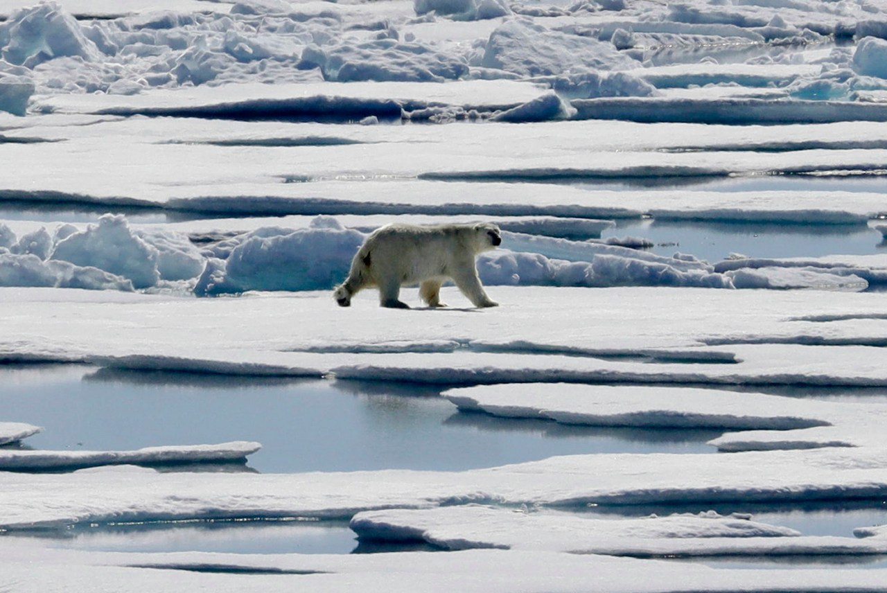 Featured image for Arctic's Record-Hot Summer Signals Alarming Climate Change Impact