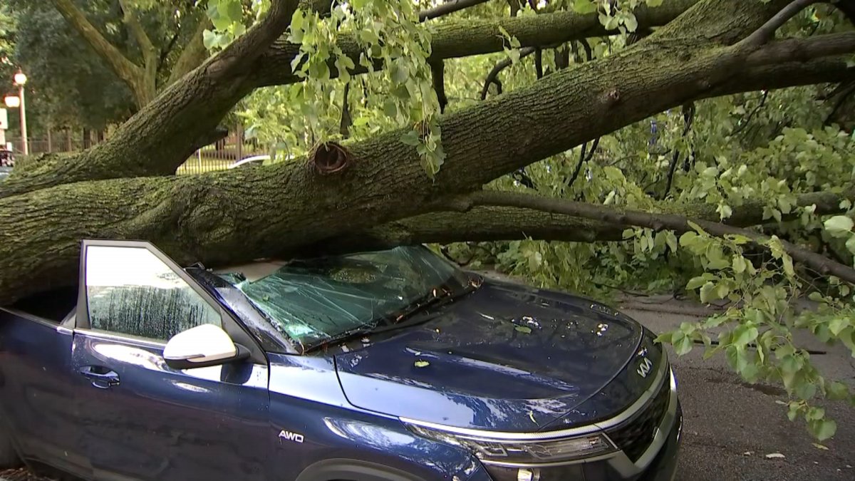 Severe Midwest Storms Cause Power Outages, Tornadoes, and Travel Chaos