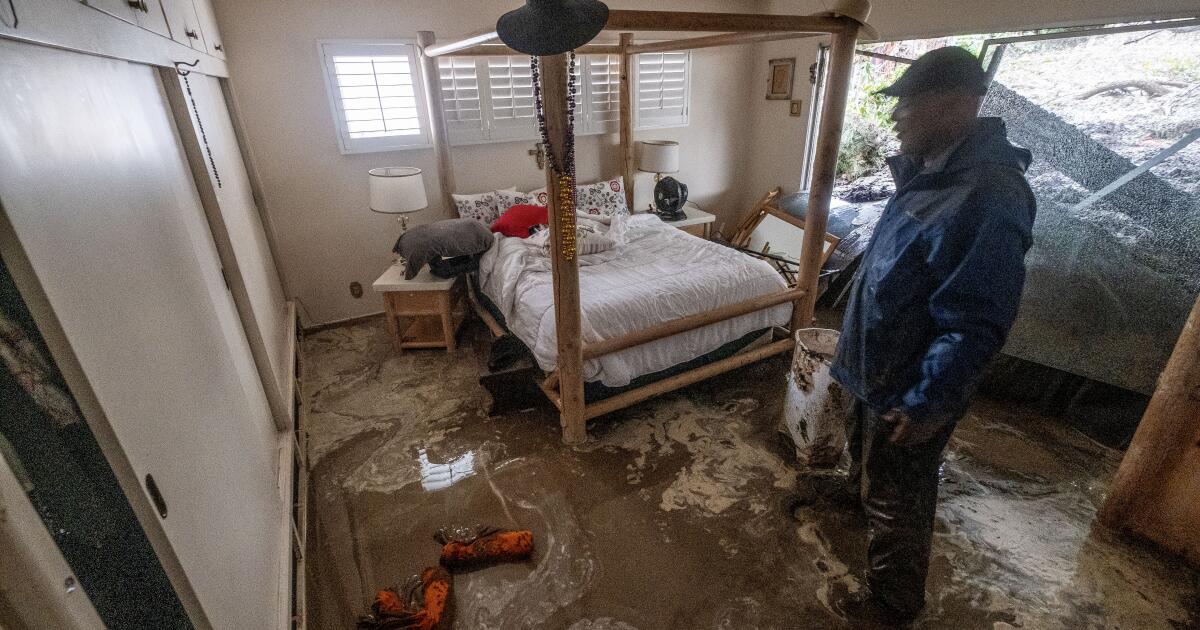 Featured image for "Managing Water Damage and Allergies After a Storm"