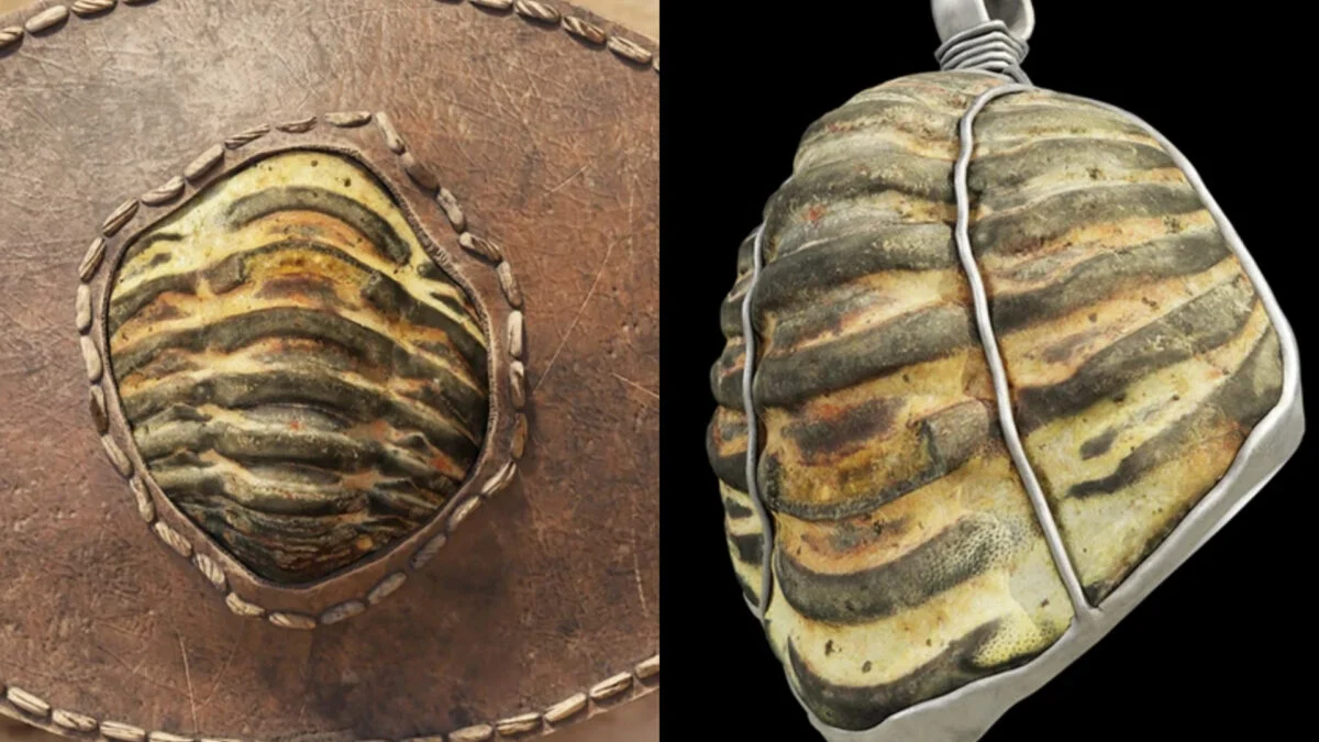 Featured image for Ancient Roman Jewelry Crafted from 453-Million-Year-Old Fossil