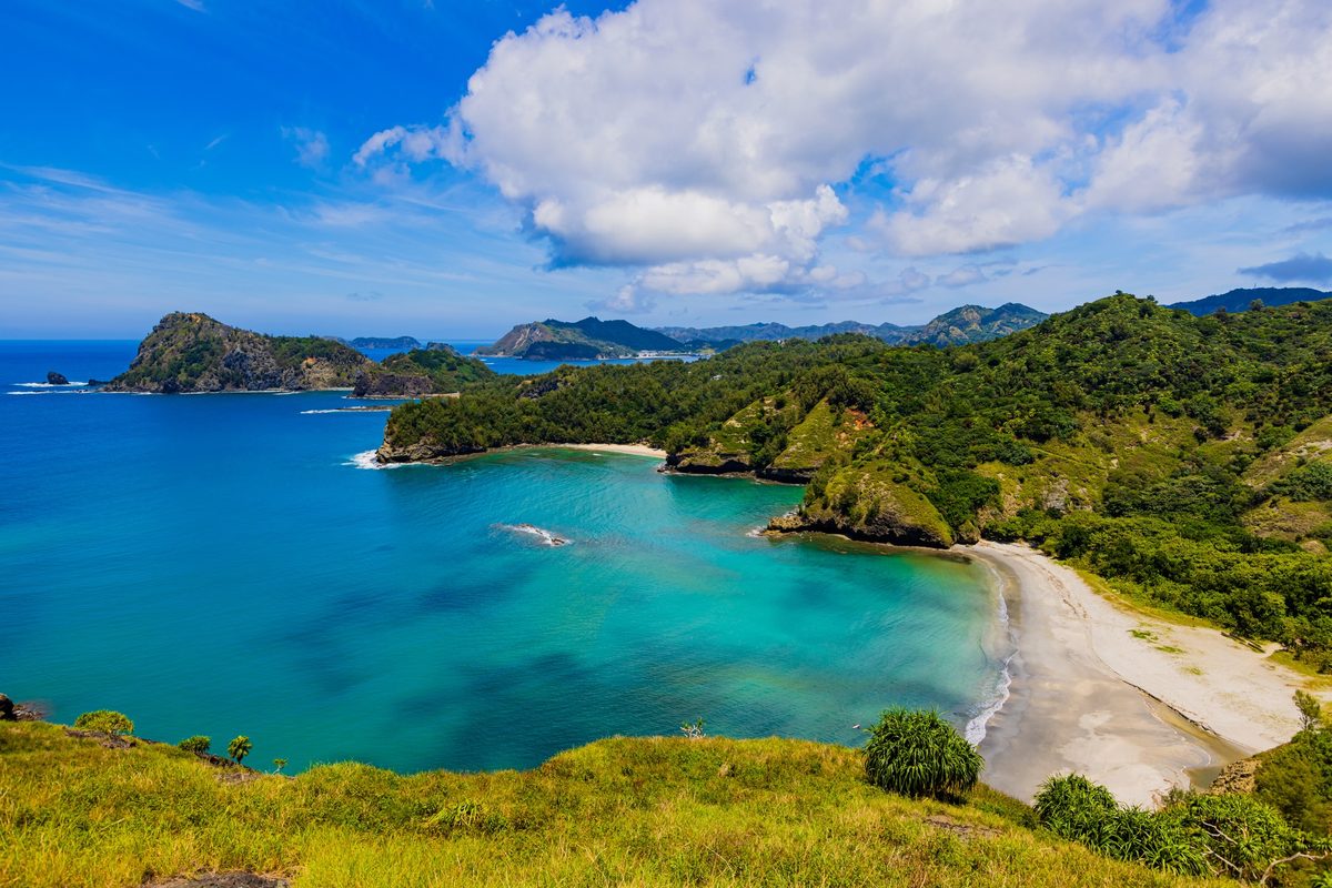 Featured image for Feral Cats Removed from Japanese Islands Lead to Unexpected Outcome