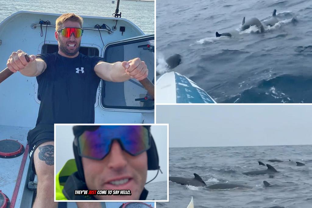 Featured image for Solo Rower's Nerve-Wracking Encounter with Massive Whale Pod in Atlantic